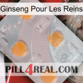 Ginseng For Kidney 24